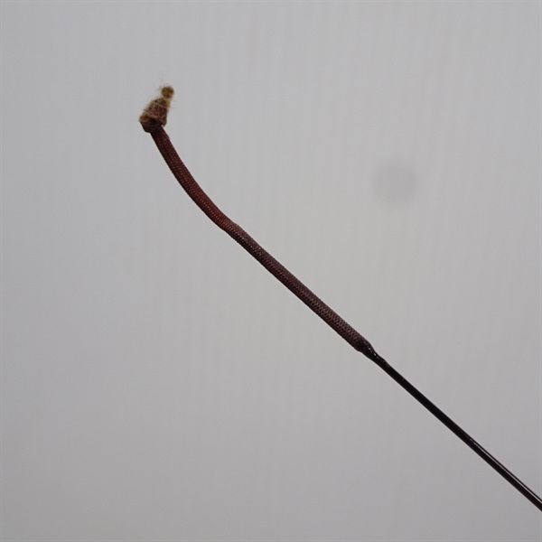 早蕨中硬５４
